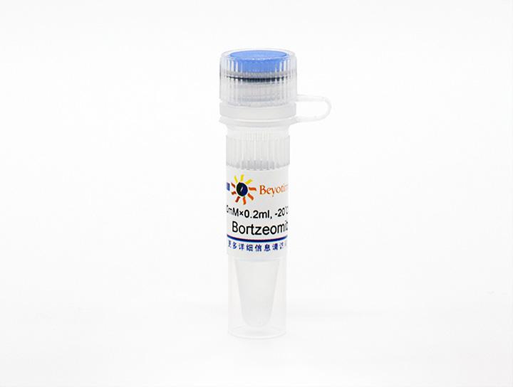 Bortzeomib (PS-341) (Proteasome抑制剂)